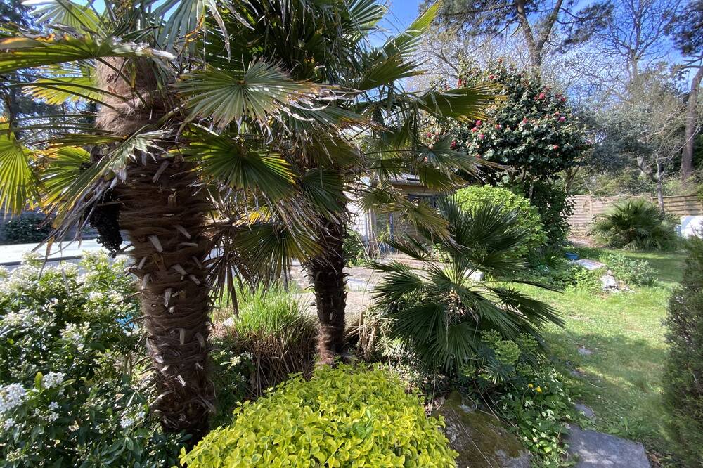 Photo of Outdoor in Finistere