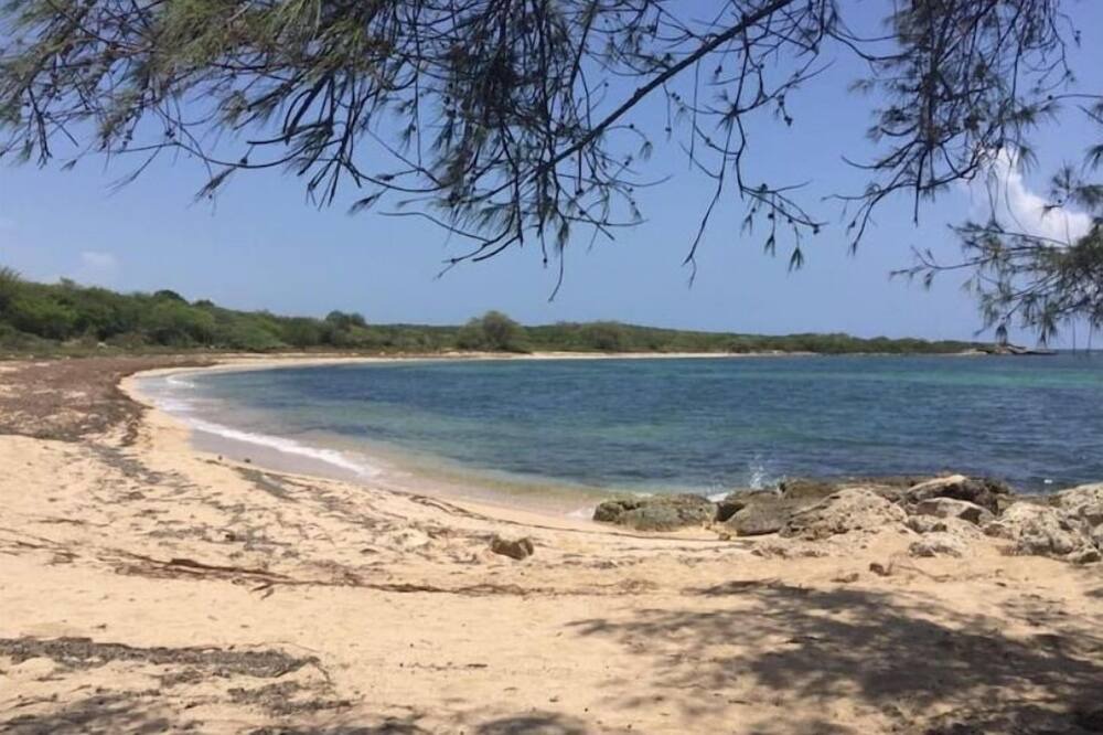 Photo of Others in Guanica