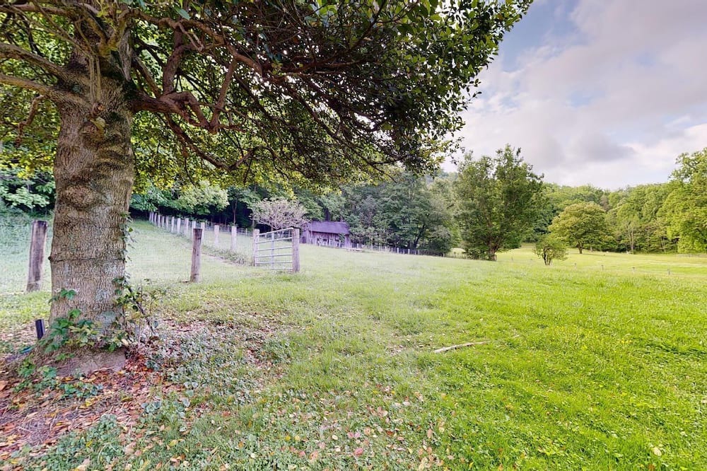 Photo of Outdoor in Ansted
