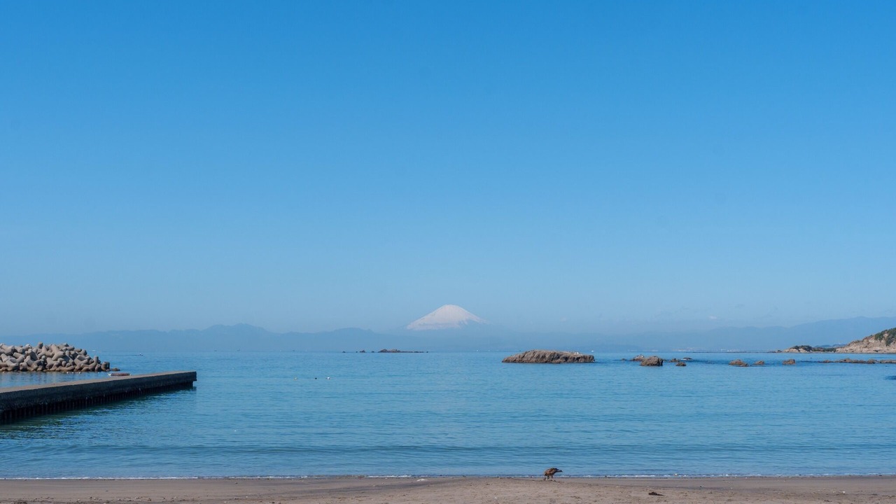 Photo of Others in Yokosuka