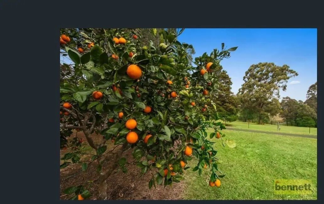 Photo of Outdoor in East Kurrajong