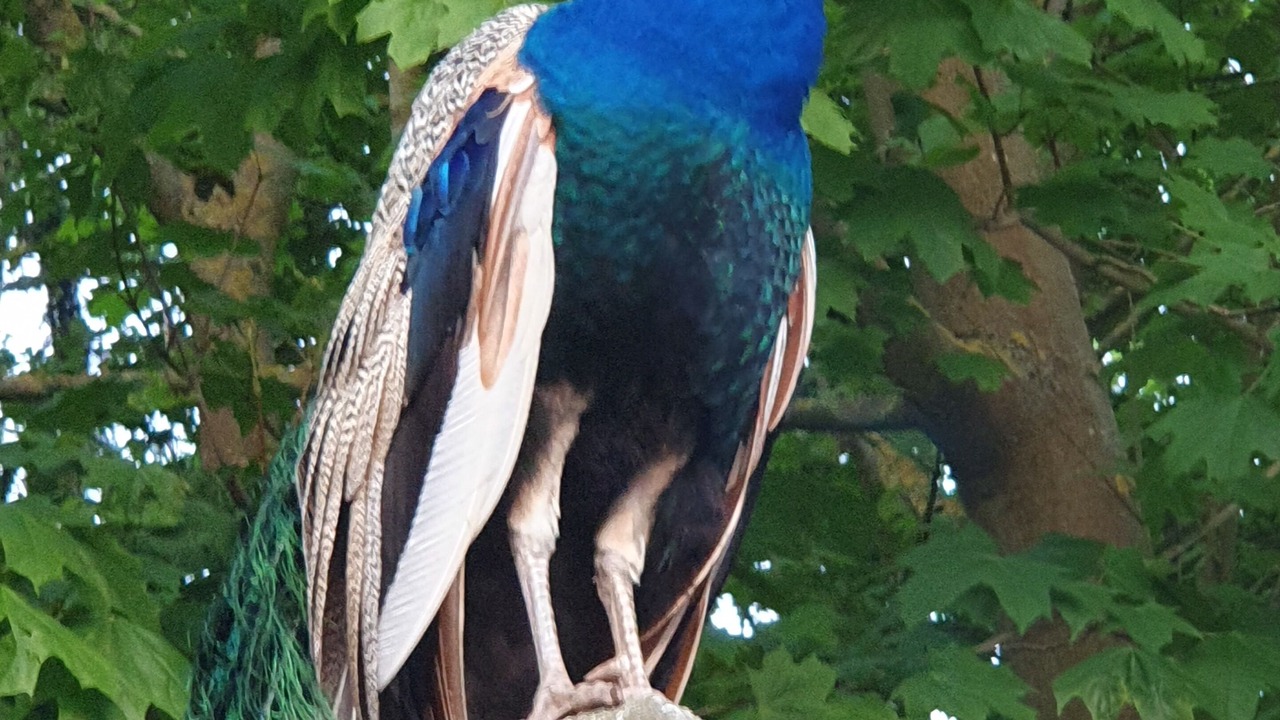 Photo of Outdoor in Wanfried