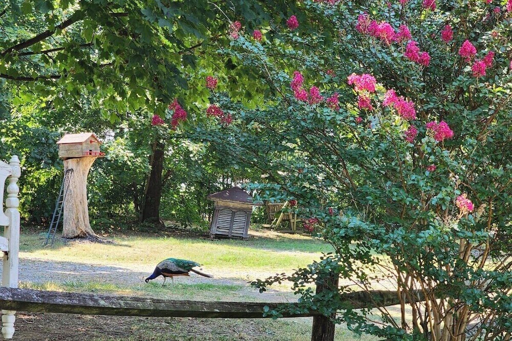 Photo of Outdoor in Winchester