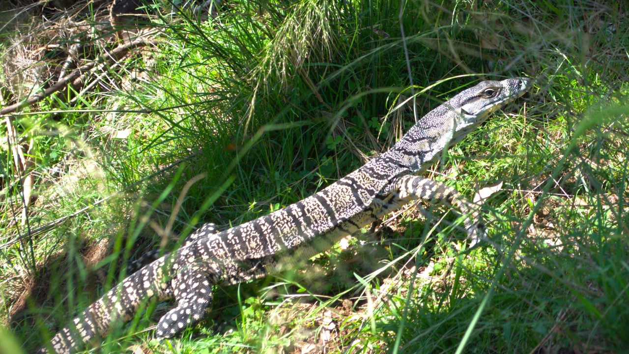 Photo of Outdoor in Wallabadah