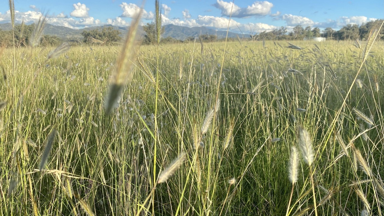 Photo of Outdoor in Wallabadah