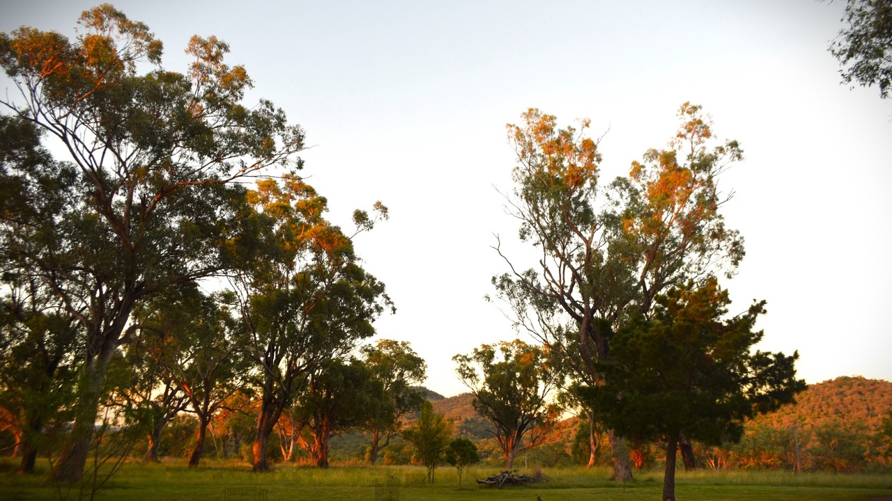 Photo of Outdoor in Wallabadah