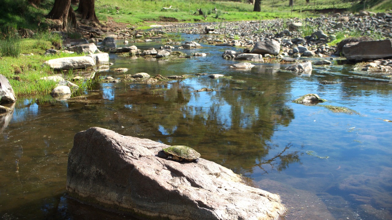 Photo of Outdoor in Wallabadah