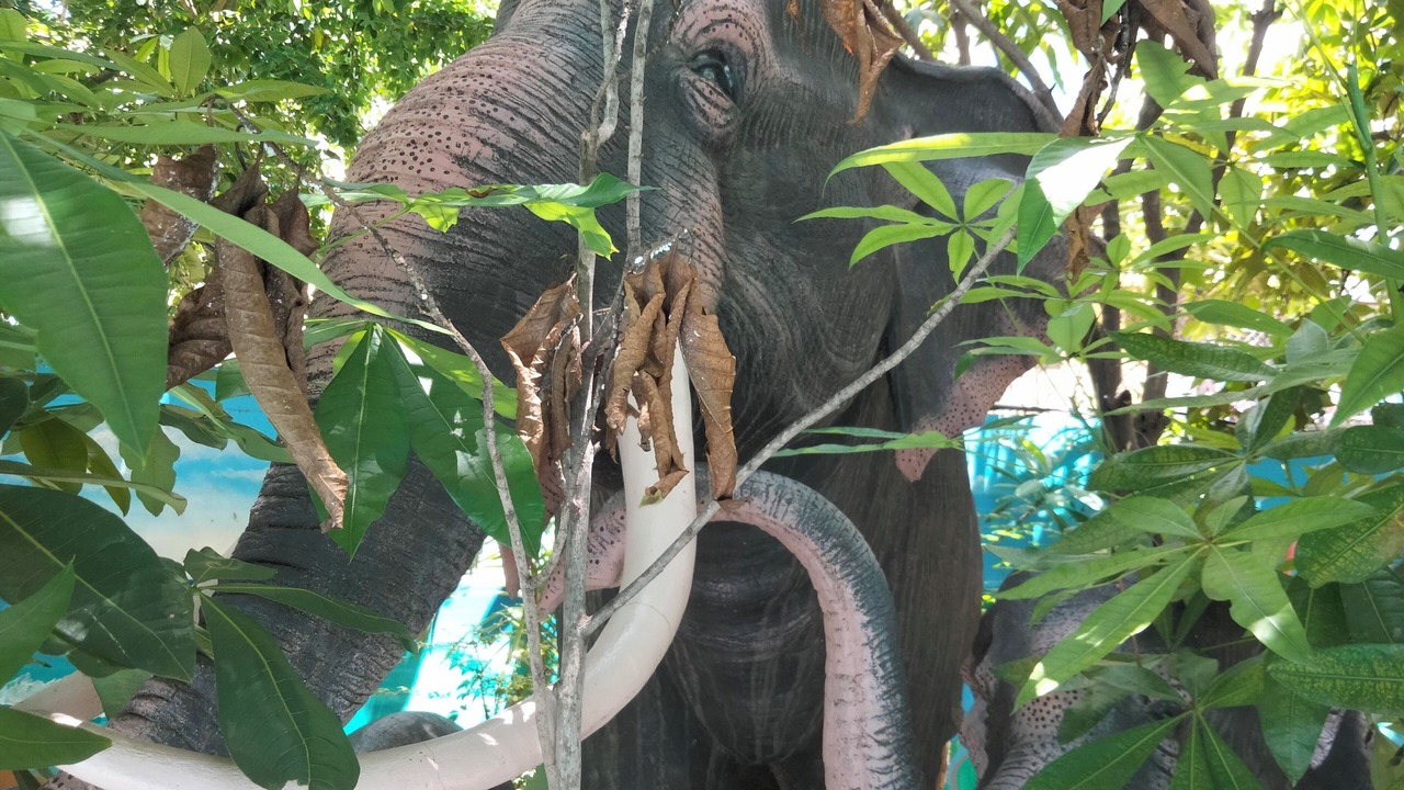 Photo of Outdoor in Dangkao