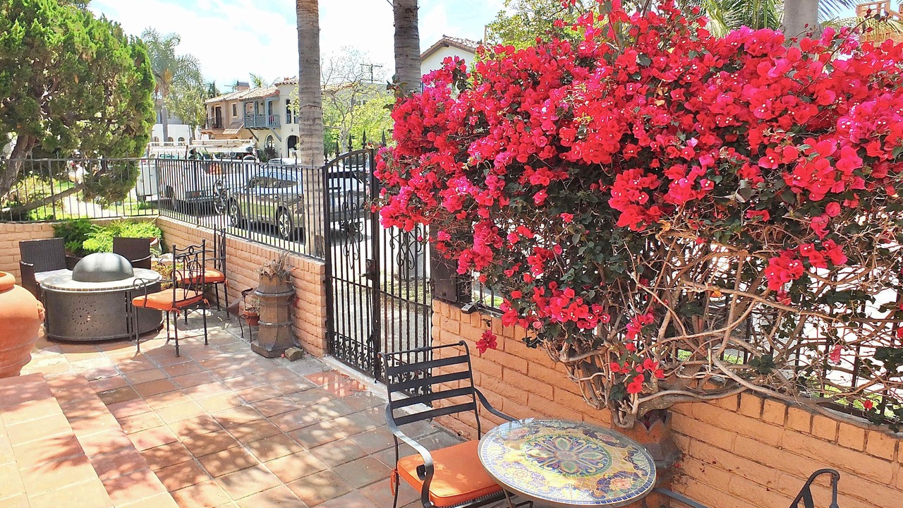 Photo of Outdoor in Belmont Shore