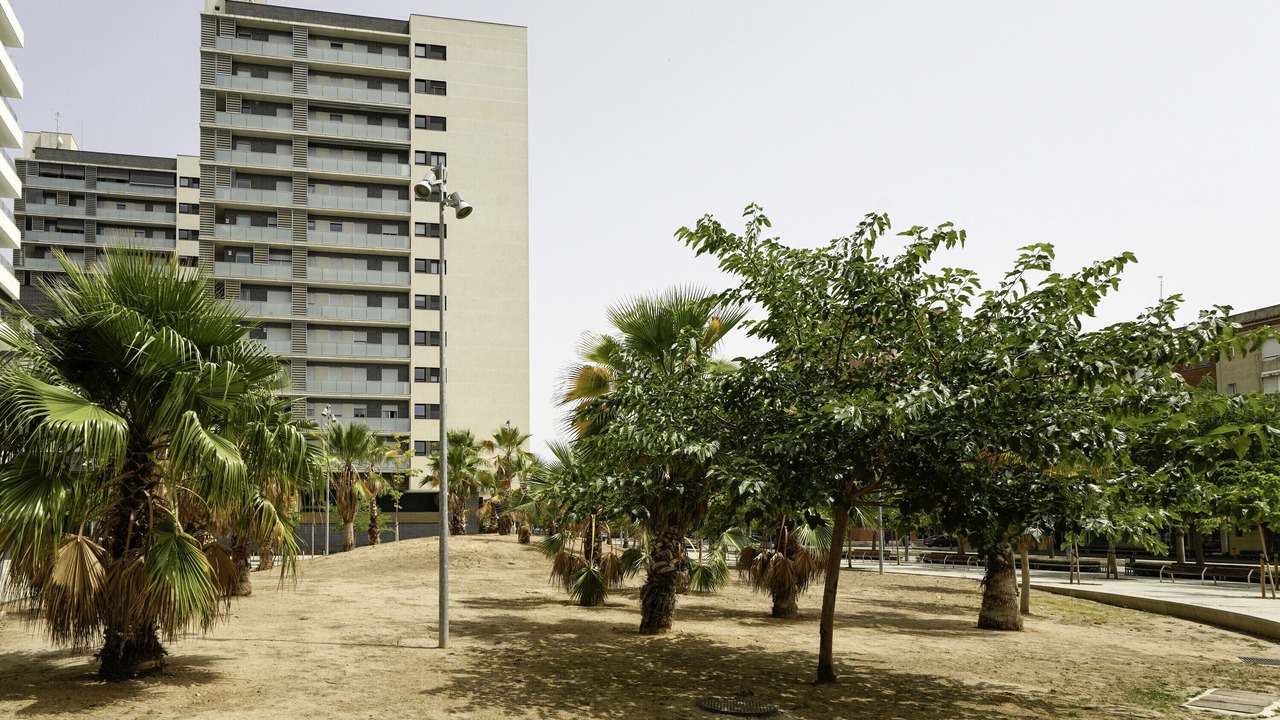 Photo of Outdoor in Cornella de Llobregat