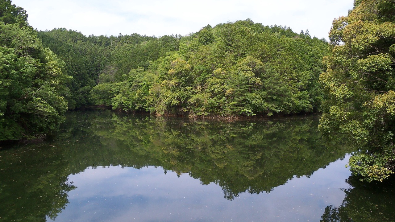 Photo of Others in Yoshino