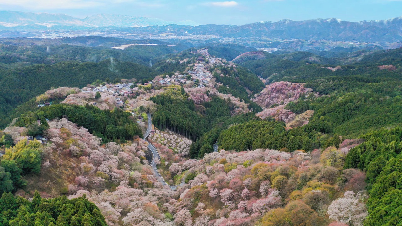 Photo of Outdoor in Yoshino