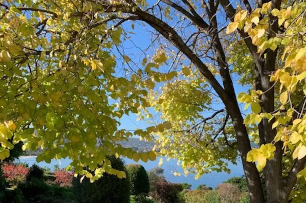 Photo of Outdoor in Bellerive