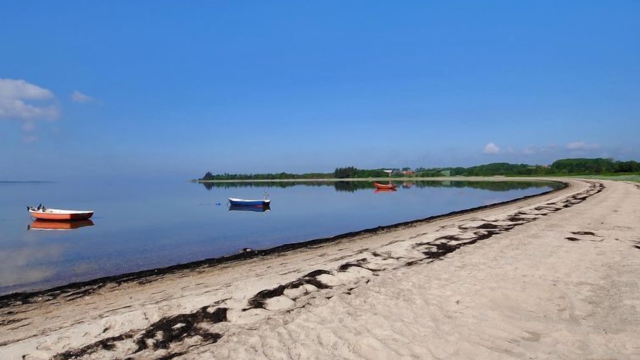Photo of Others in Ronbjerg