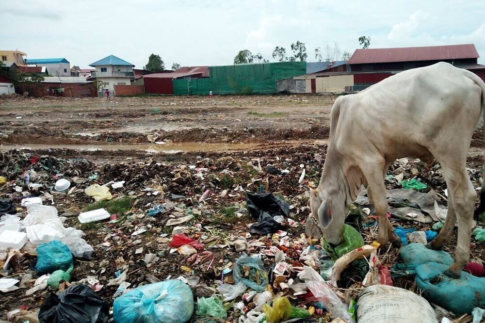 Photo of Others in Dangkao