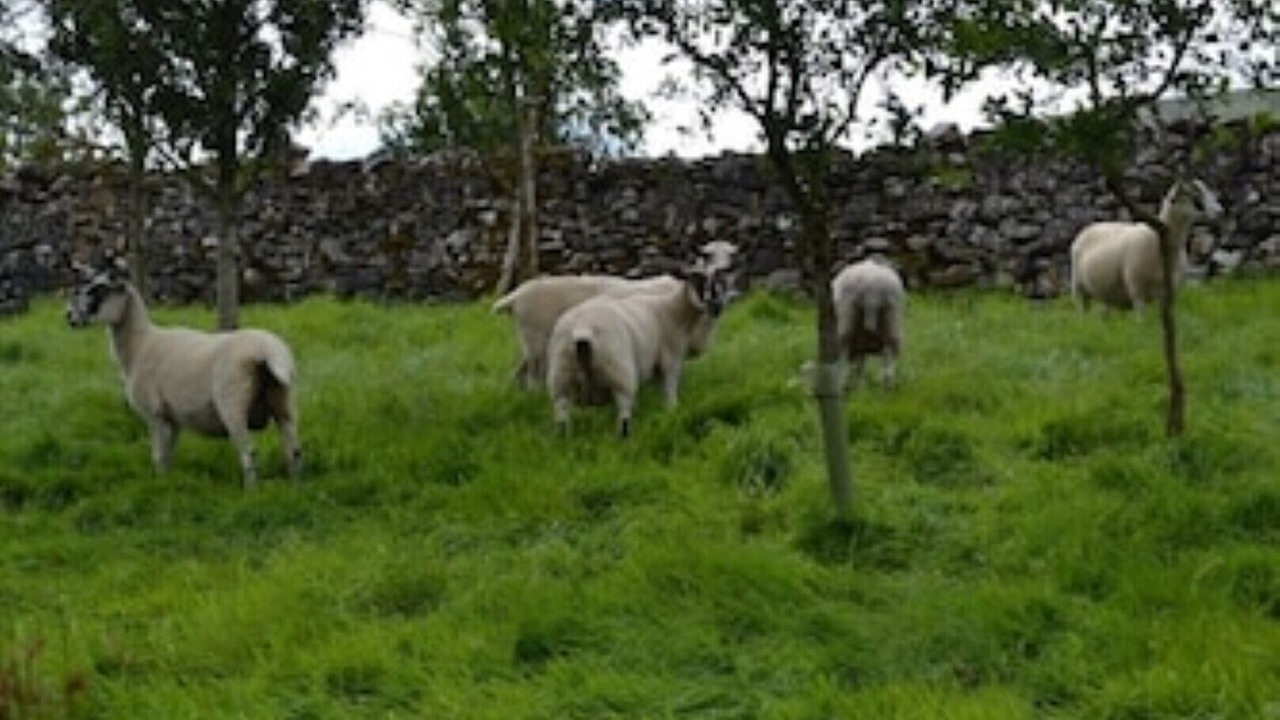 Photo of Outdoor in Horton in Ribblesdale