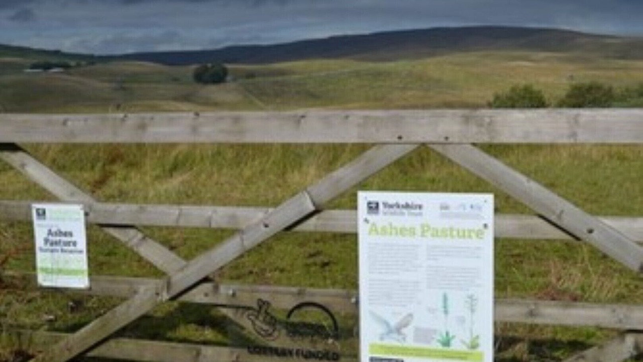 Photo of Outdoor in Horton in Ribblesdale