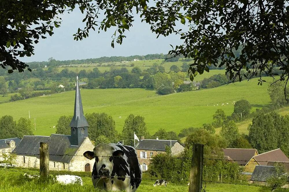 Photo of Others in Camembert