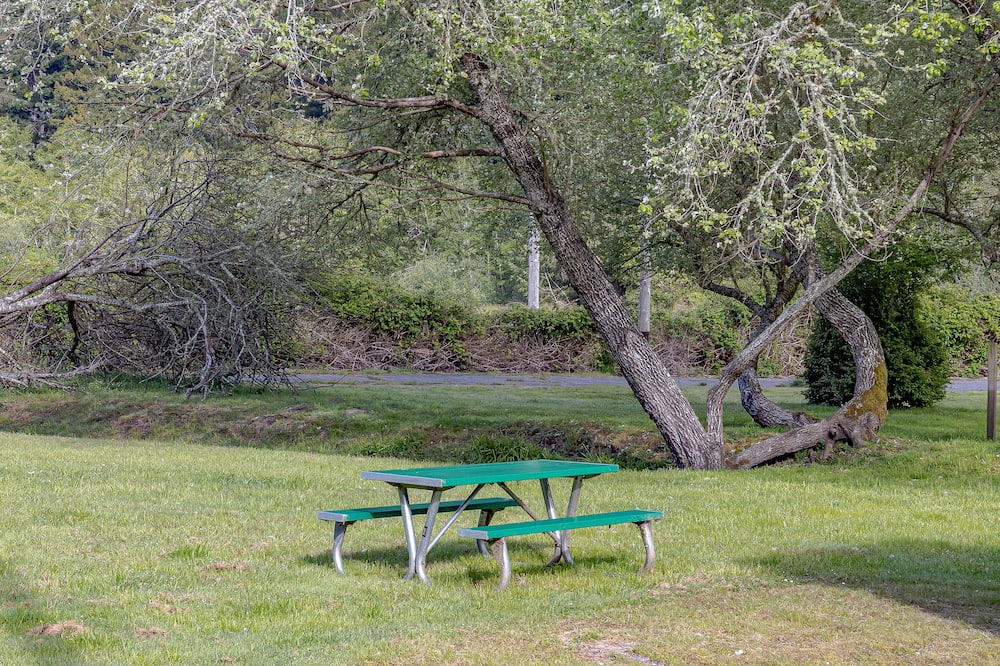 Photo of Outdoor in Orick