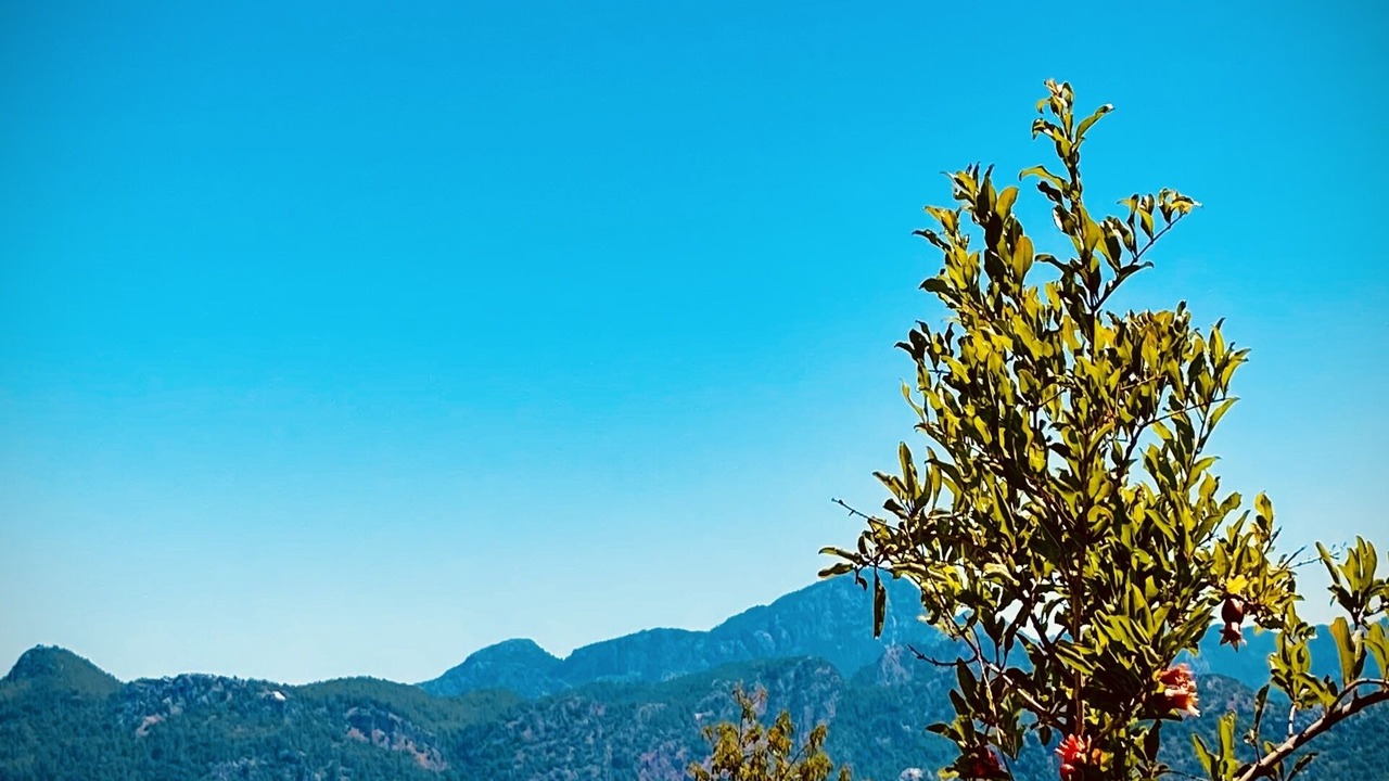 Photo of Others in Selimiye