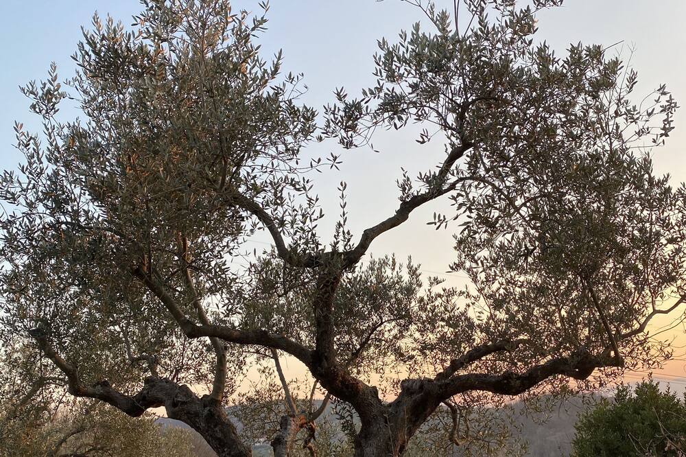 Photo of Outdoor in Melizzano