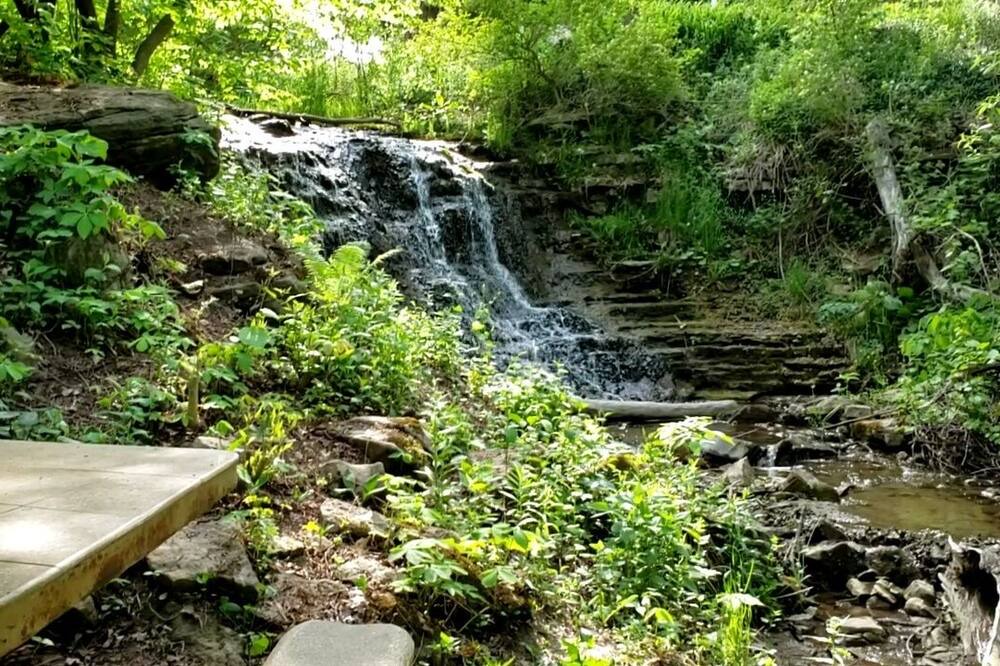 Photo of Outdoor in Hamilton