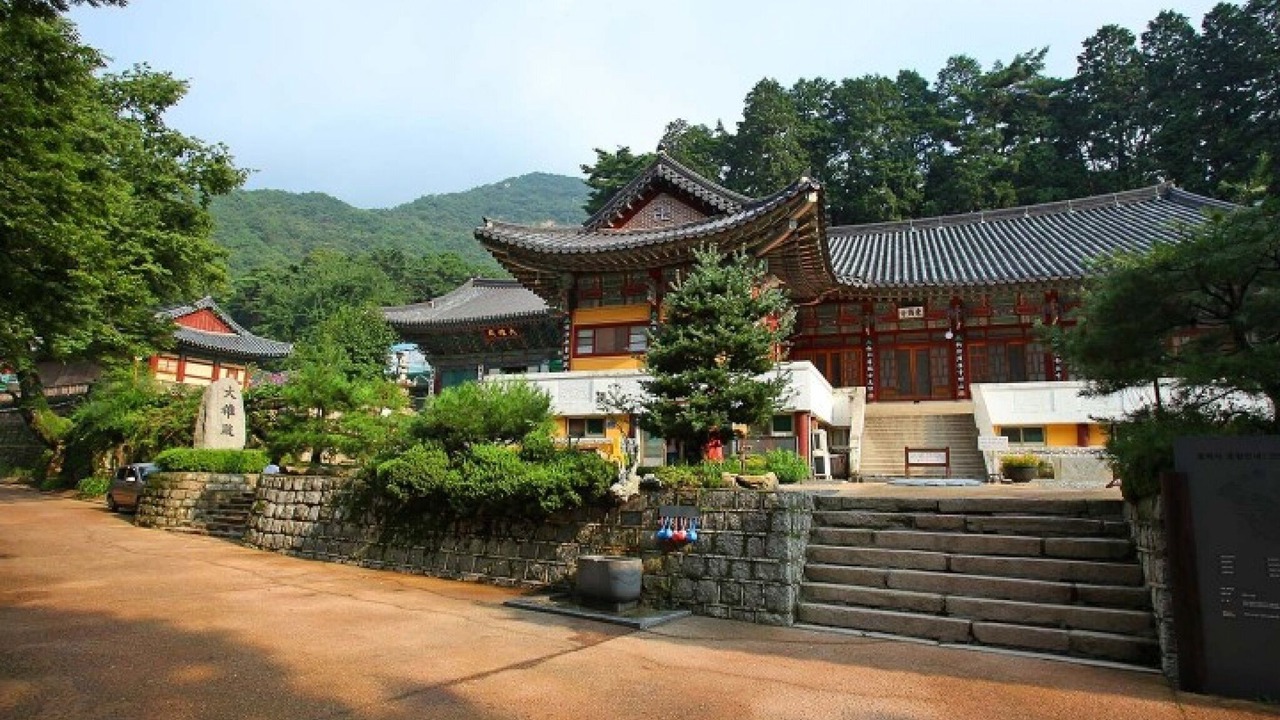 Photo of Others in Gongju