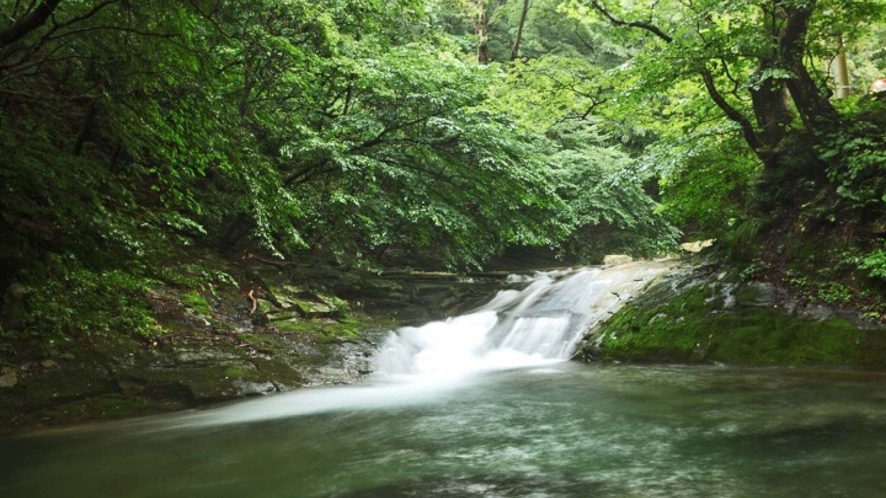 Photo of Others in Gongju