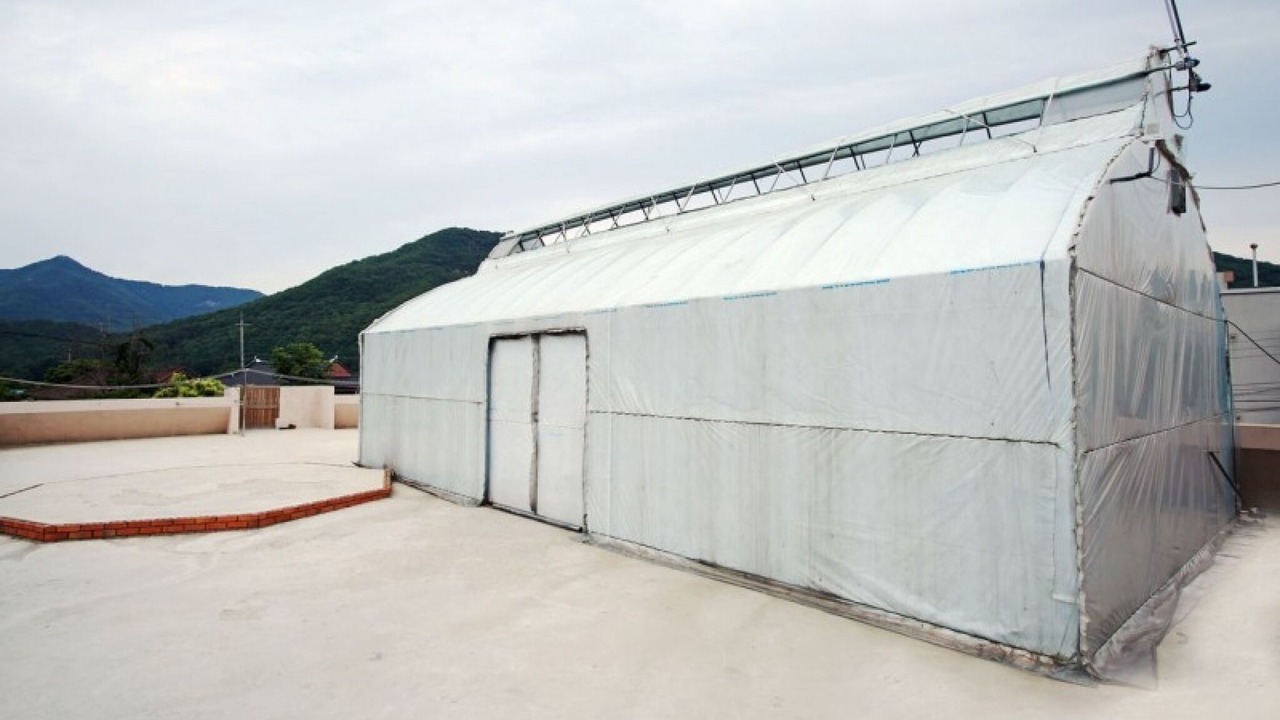 Photo of Others in Gongju
