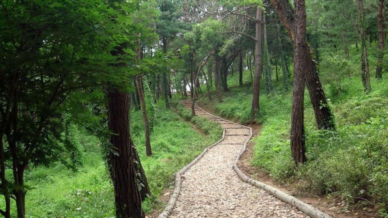 Photo of Others in Gongju