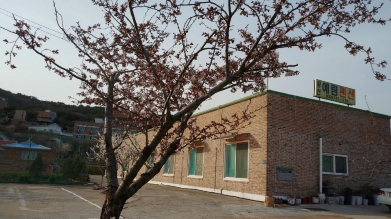 Photo of Others in Eulwang-ri
