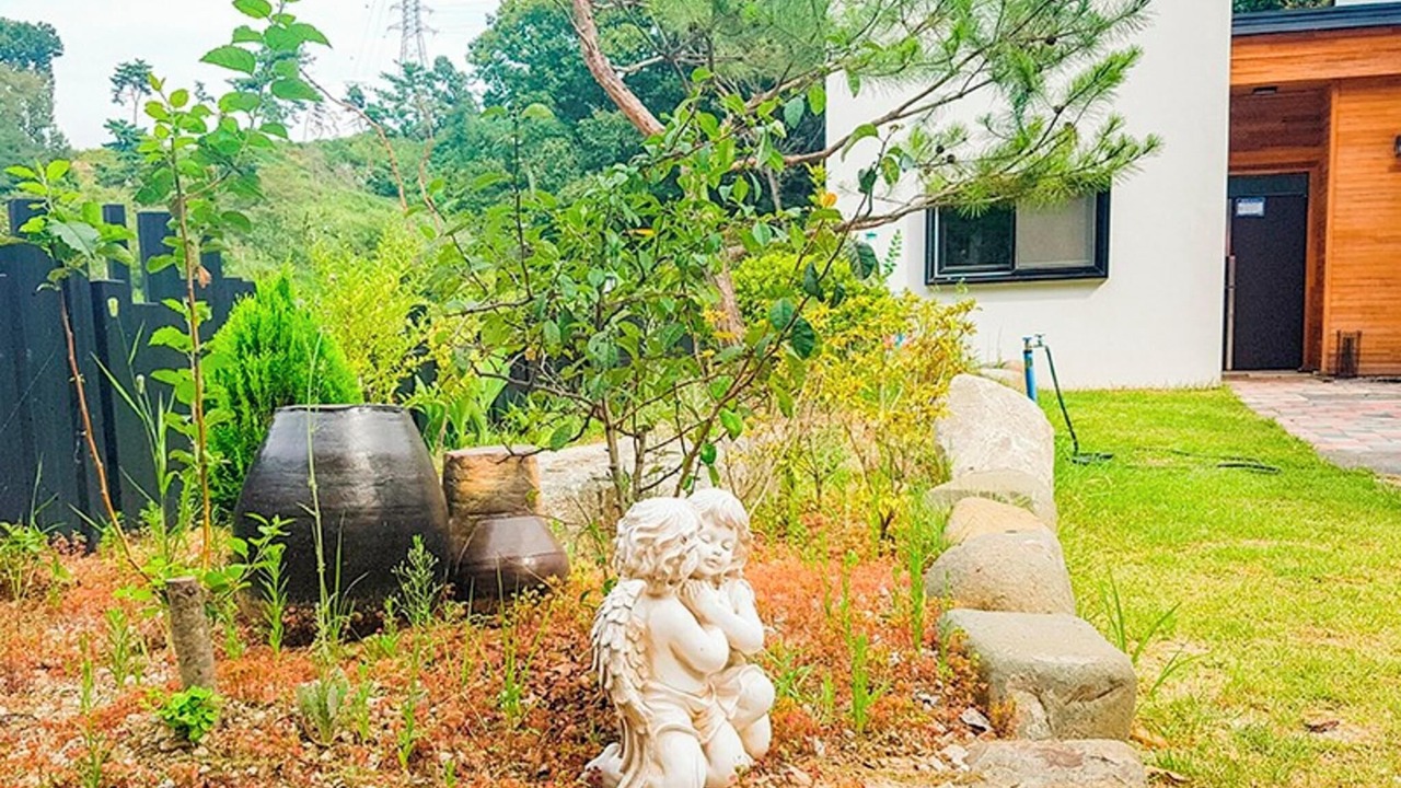 Photo of Others in Cheongju