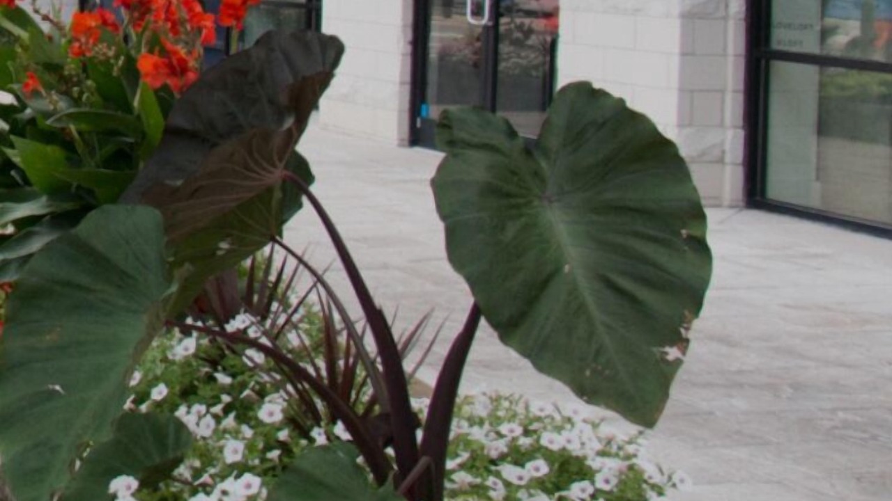 Photo of Outdoor in Hadley - Washington
