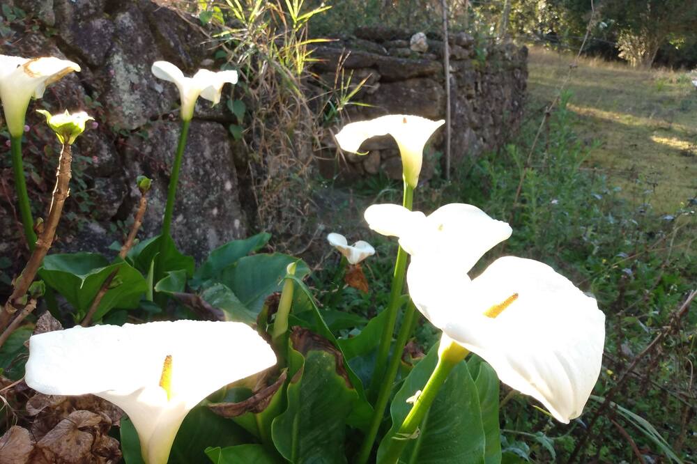 Photo of Outdoor in Munhoz
