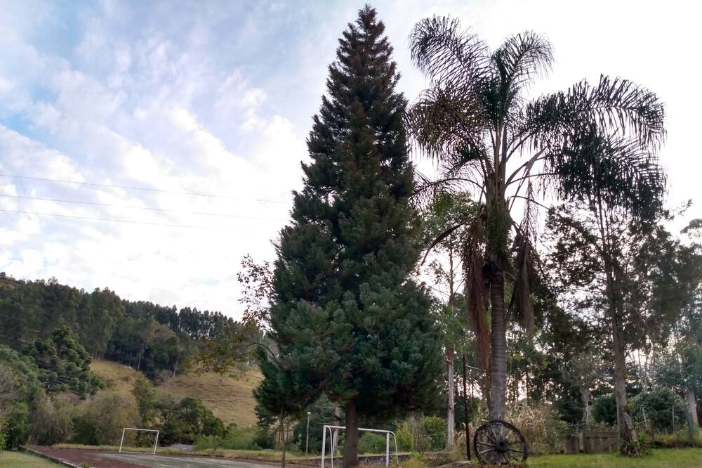 Photo of Outdoor in Munhoz