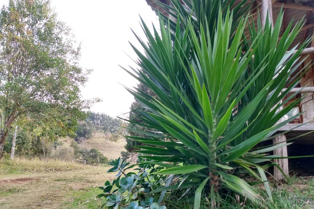 Photo of Outdoor in Munhoz