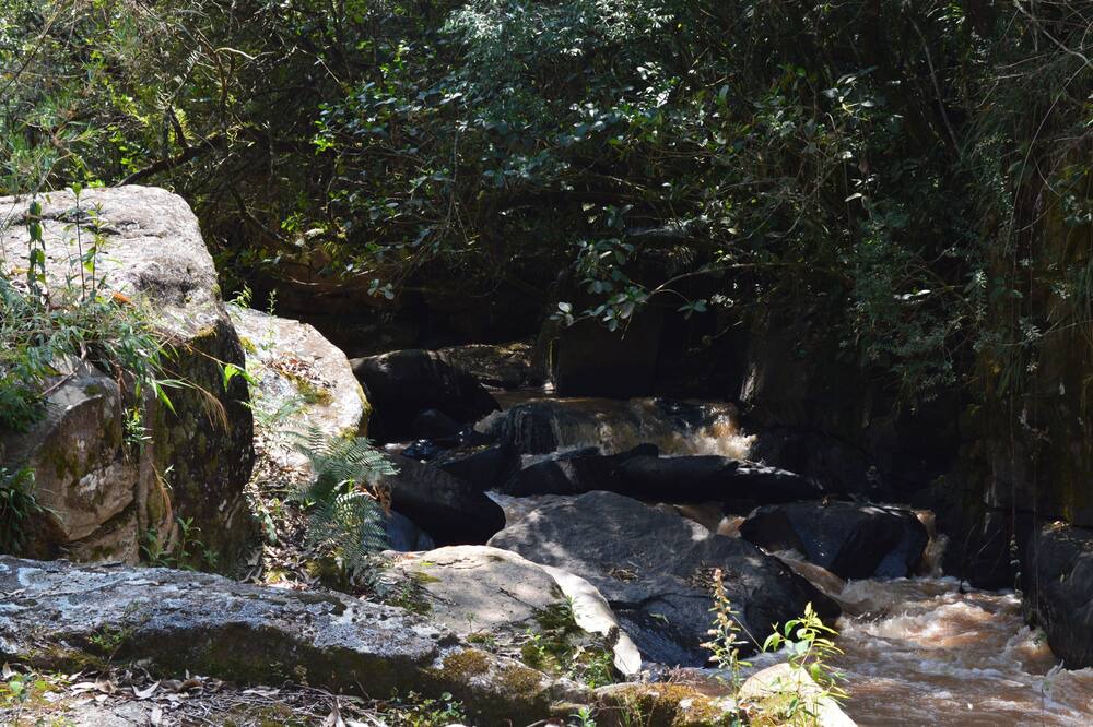 Photo of Outdoor in Munhoz