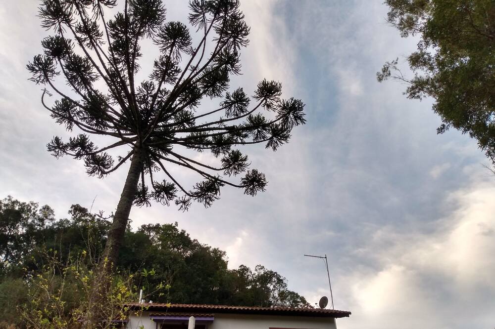 Photo of Outdoor in Munhoz