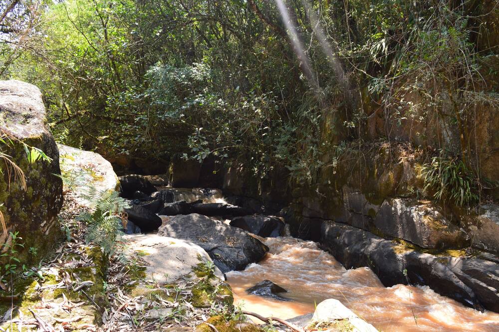 Photo of Outdoor in Munhoz