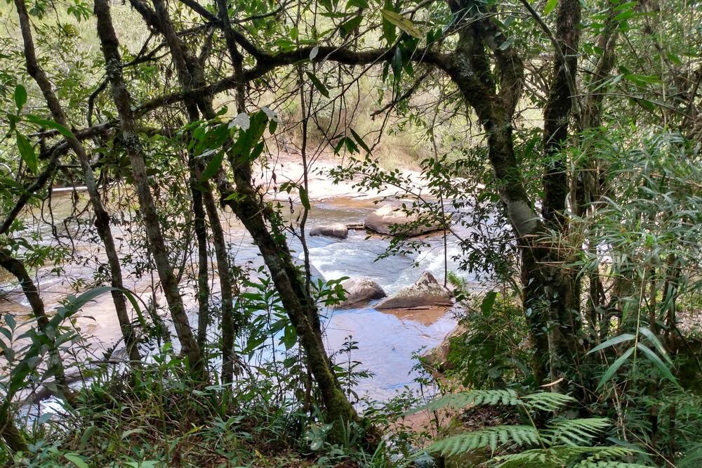 Photo of Outdoor in Munhoz