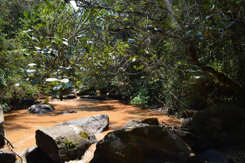 Photo of Outdoor in Munhoz