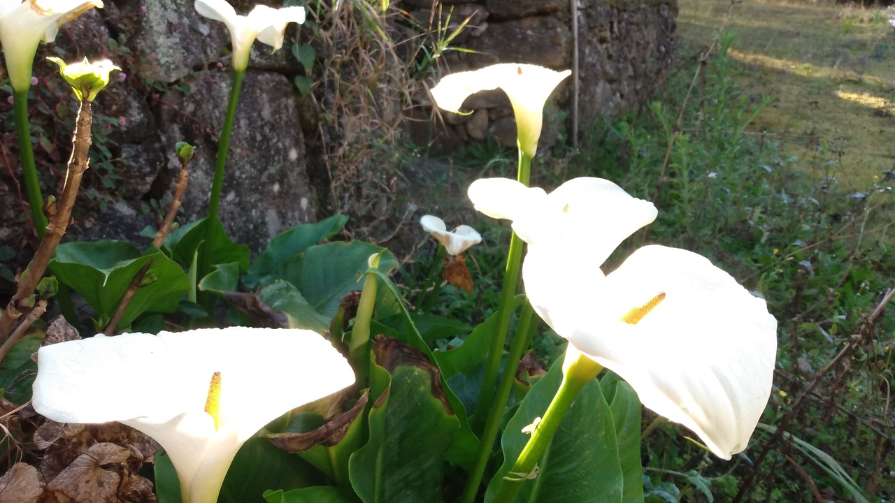 Photo of Outdoor in Munhoz