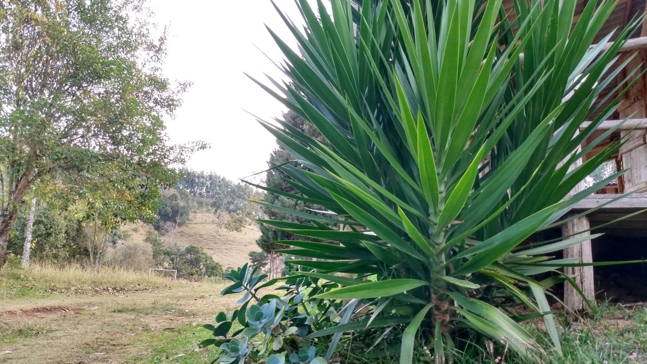 Photo of Outdoor in Munhoz