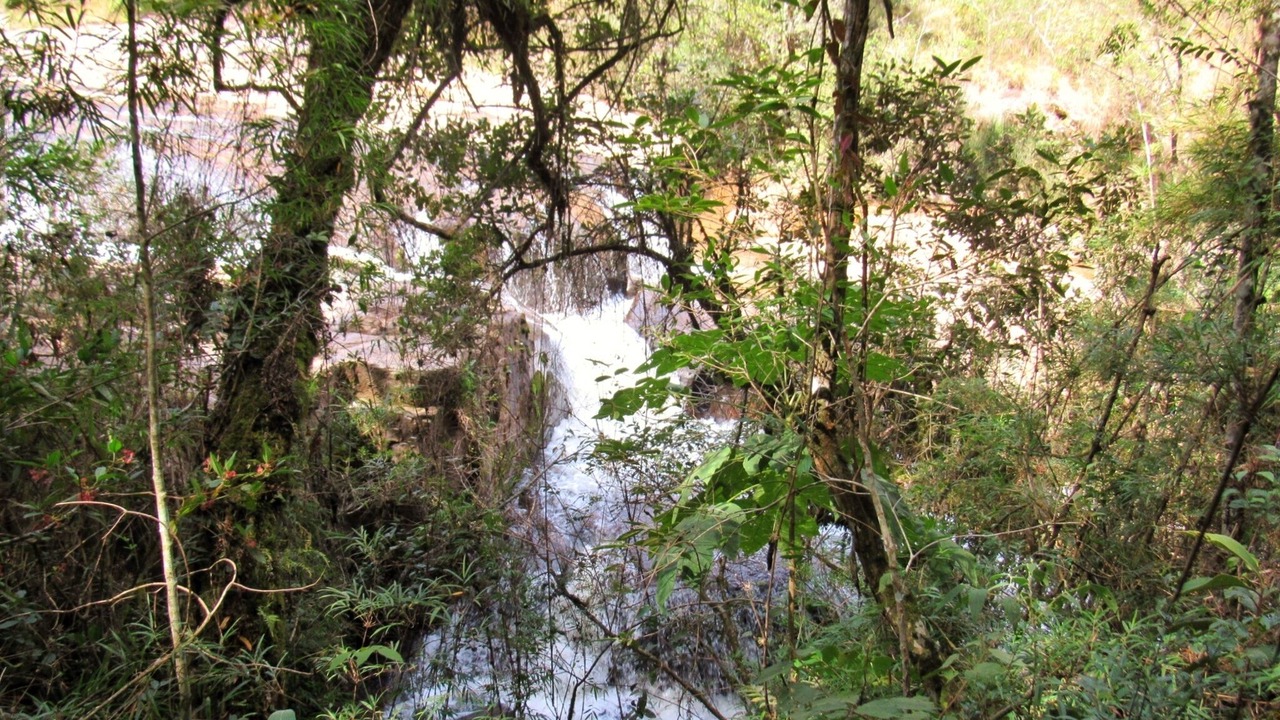 Photo of Outdoor in Munhoz
