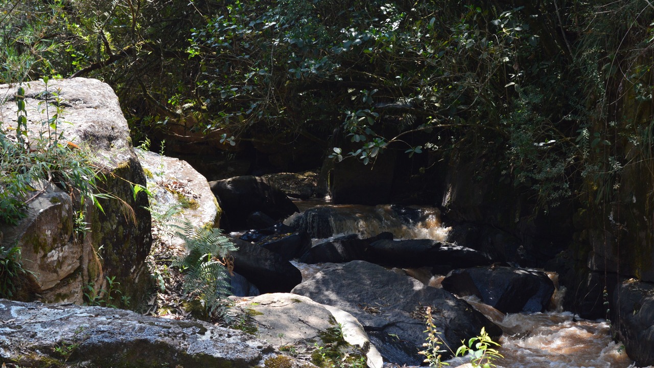 Photo of Outdoor in Munhoz