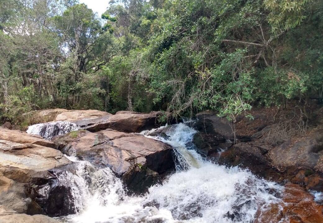 Photo of Outdoor in Munhoz