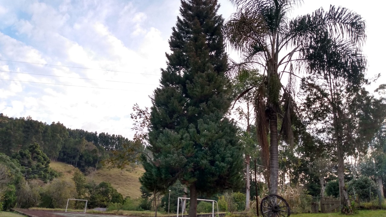 Photo of Outdoor in Munhoz