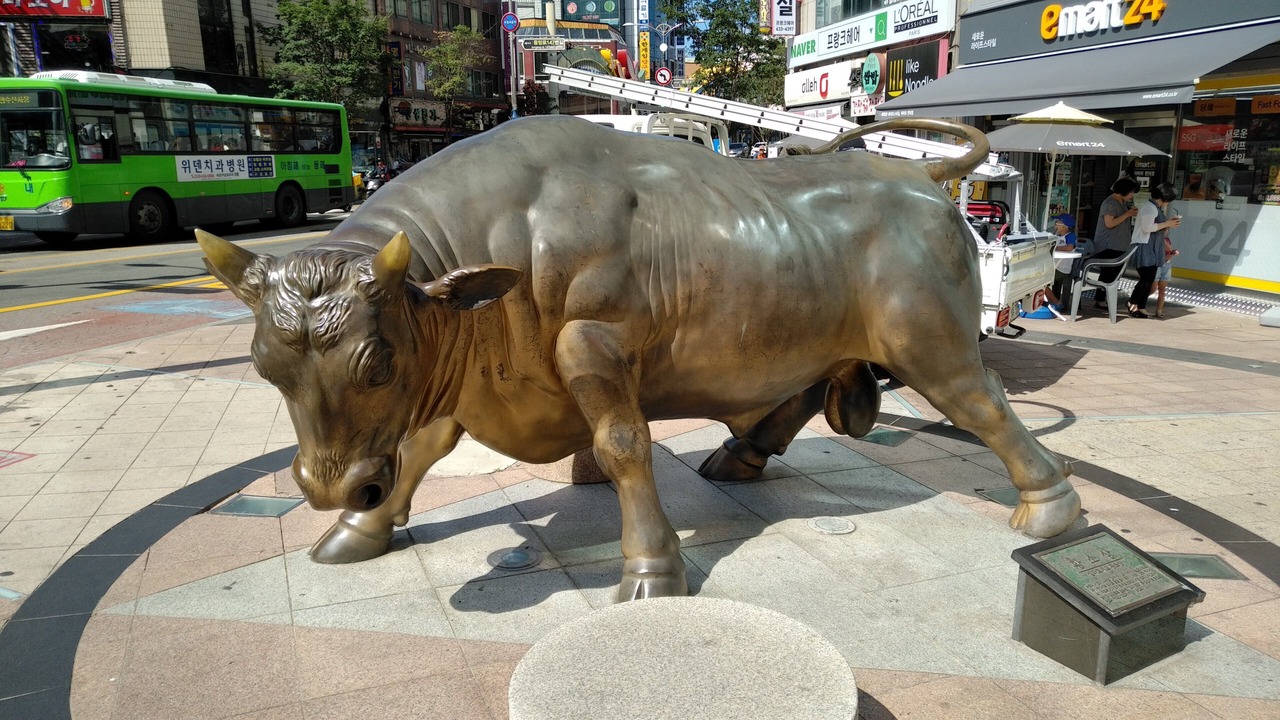 Photo of Others in Sokcho