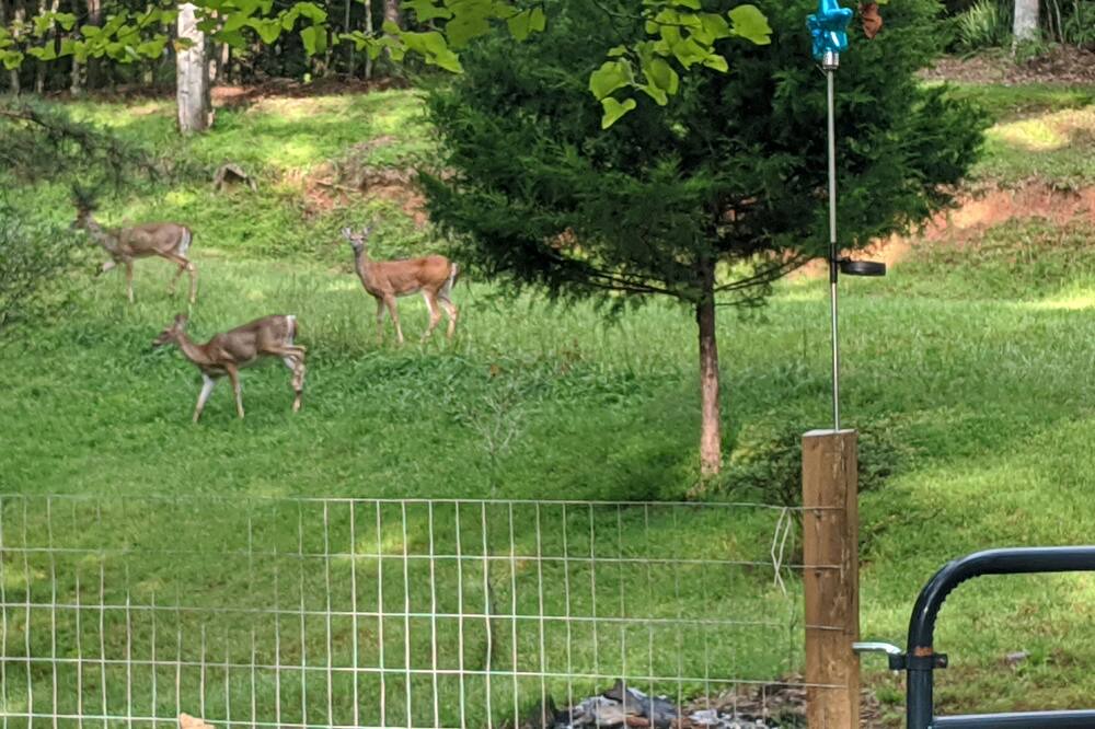 Photo of Outdoor in Murphy
