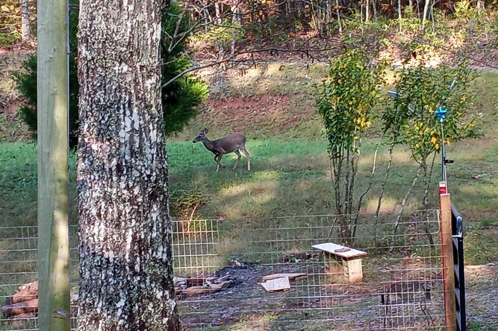 Photo of Outdoor in Murphy